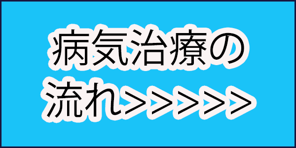 気功の流れ